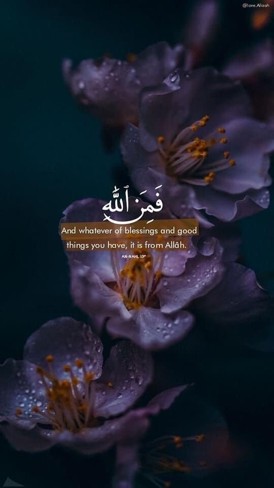Ramadan Series 2024